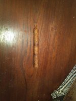 cigar 1.jpg cigar 1.jpg