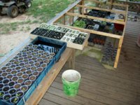 100_1945.jpg 100_1945.jpg