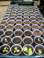 100_1946.jpg 100_1946.jpg