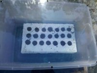 IMG_20120502_101108.jpg IMG_20120502_101108.jpg