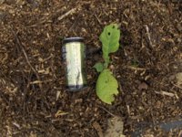 HPIM2082.JPG HPIM2082.JPG