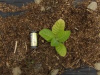 HPIM2083.JPG HPIM2083.JPG