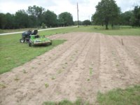 100_2017.jpg 100_2017.jpg