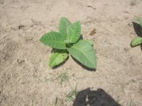 100_2027.jpg 100_2027.jpg