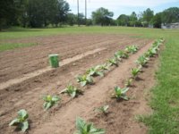 100_2031.jpg 100_2031.jpg