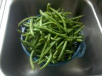 green beans.jpg