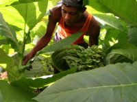campo6-1024x768.jpg
