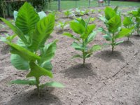 2012062324 004.jpg