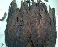 Dominican Ligero.jpg
