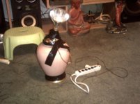 DSCF00017.jpg