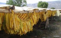 metingulesci_131887768346.jpg metingulesci_131887768346.jpg