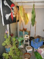 DSCN4722.JPG