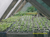 SDC18957.JPG SDC18957.JPG