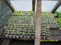 SDC18958.jpg SDC18958.jpg