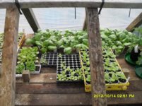 SDC18959.jpg SDC18959.jpg