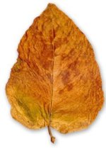 bursa1.jpg