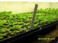 SDC18964.jpg SDC18964.jpg