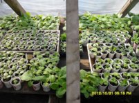 SDC18967.jpg SDC18967.jpg