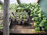 SDC18968.jpg SDC18968.jpg