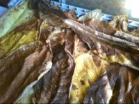 THE END PRODUCT_0001.jpg