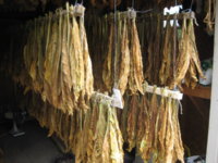 IMG_0197.JPG IMG_0197.JPG