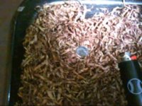 PICT0007 _2__0001.jpg