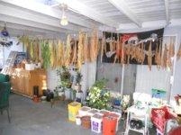 DSCN4911.jpg
