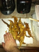 IMG_1172.jpg