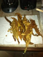 IMG_1171.jpg