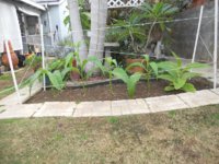 DSCN4928.JPG
