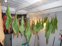 DSCN4933.JPG