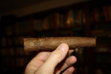 IMG_0233.jpg