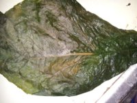 20121214_182917222.jpg