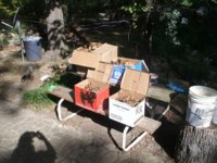 Orientals 001.JPG