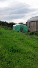 smallIMG_20140807_162720_394.jpg smallIMG_20140807_162720_394.jpg