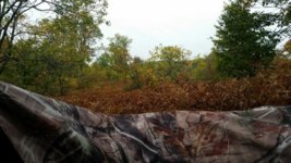 20140920_160908_20140920_203749.jpg