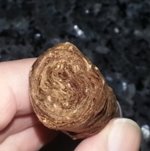 Roll 11-2-14.jpg
