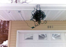 tangled-lights.jpg