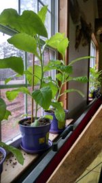 14190920493360.jpg 14190920493360.jpg