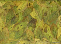 izmir origin (7).jpg