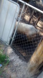 IMG_20150208_121410270.jpg IMG_20150208_121410270.jpg