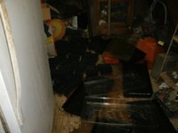 Clean trays 001.JPG