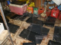 Clean trays 002.JPG