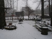 Snowin 001.JPG