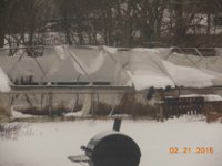 DSCN4244 (640x480).jpg