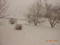 DSCN4306 (640x480).jpg