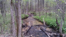 20150510_123405_20150510_172140.jpg
