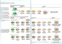 fermentacija.jpg fermentacija.jpg