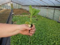 DSCN1861 (640x480).jpg