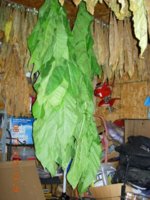 DSCN3205.jpg
